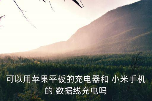 小米的iphone數(shù)據(jù)線通用嗎,小米與華為數(shù)據(jù)線通用嗎