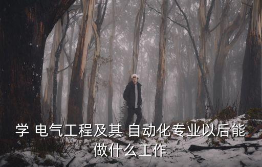 學(xué) 電氣工程及其 自動化專業(yè)以后能做什么工作