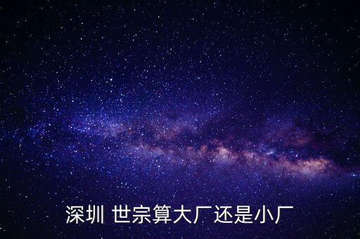 深圳 世宗算大廠還是小廠