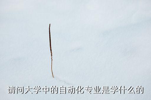請(qǐng)問(wèn)大學(xué)中的自動(dòng)化專業(yè)是學(xué)什么的