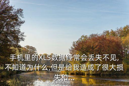 手機(jī)里的XLS數(shù)據(jù)經(jīng)常會(huì)丟失不見(jiàn),不知道為什么,但是給我造成了很大損失和...