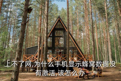 國外 未激活蜂窩數(shù)據(jù)嗎,蜂窩數(shù)據(jù)網(wǎng)絡(luò)怎么激活?