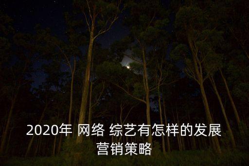 2020年 網(wǎng)絡(luò) 綜藝有怎樣的發(fā)展?fàn)I銷策略