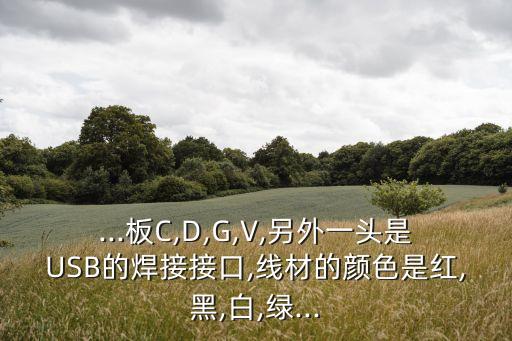...板C,D,G,V,另外一頭是USB的焊接接口,線材的顏色是紅,黑,白,綠...