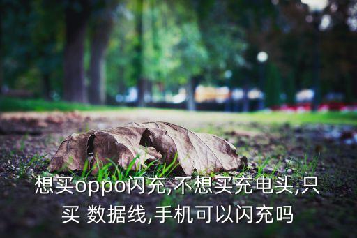 oppor7s數(shù)據(jù)線能快充嗎