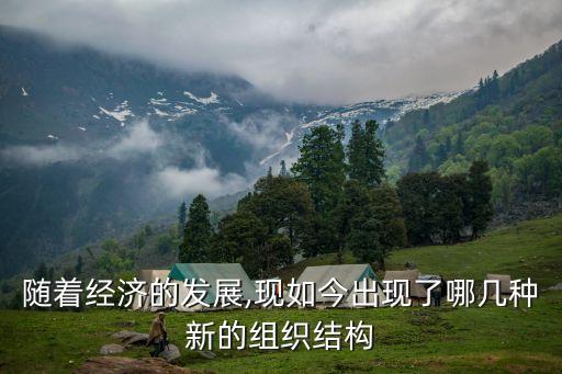隨著經(jīng)濟的發(fā)展,現(xiàn)如今出現(xiàn)了哪幾種新的組織結(jié)構(gòu)