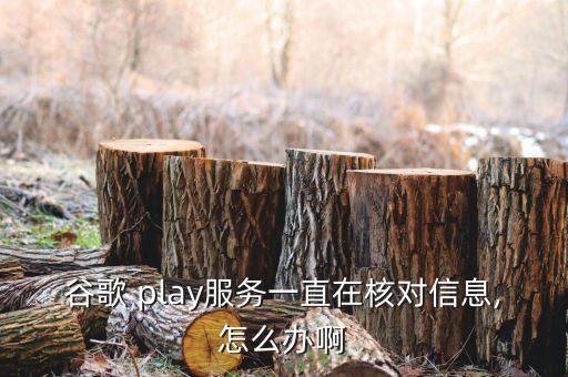 谷歌 play服務(wù)一直在核對(duì)信息,怎么辦啊