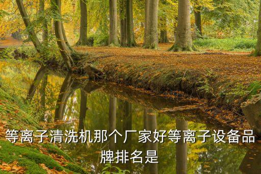 等離子清洗機(jī)那個(gè)廠家好等離子設(shè)備品牌排名是