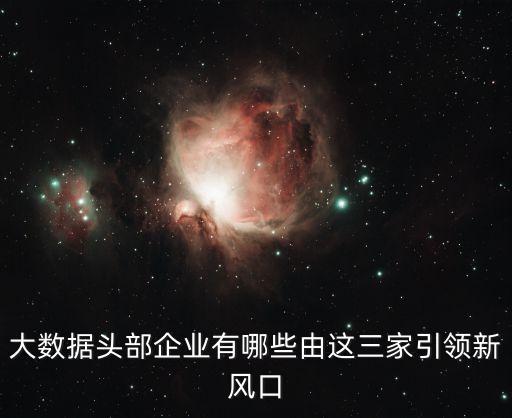 大數(shù)據(jù)公司 數(shù),大數(shù)據(jù)公司有哪些分類?一文讀懂