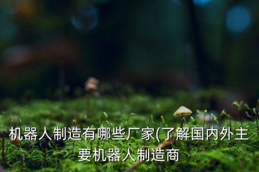 機(jī)器人制造有哪些廠家(了解國內(nèi)外主要機(jī)器人制造商