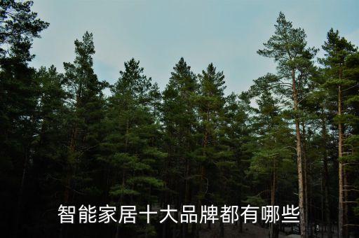 智能家居十大品牌都有哪些