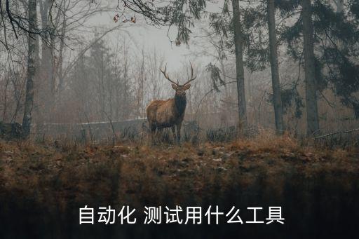  自動(dòng)化 測(cè)試用什么工具