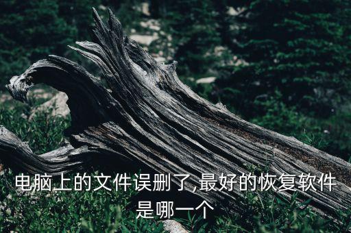 電腦上的文件誤刪了,最好的恢復(fù)軟件是哪一個