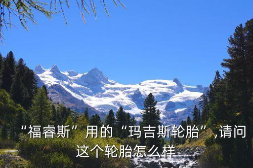 “福睿斯”用的“瑪吉斯輪胎”,請(qǐng)問這個(gè)輪胎怎么樣