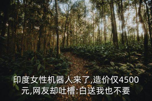 印度女性機(jī)器人來了,造價僅4500元,網(wǎng)友卻吐槽:白送我也不要
