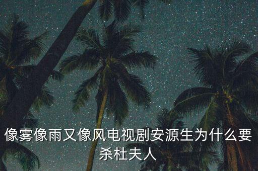 像霧像雨又像風(fēng)電視劇安源生為什么要殺杜夫人