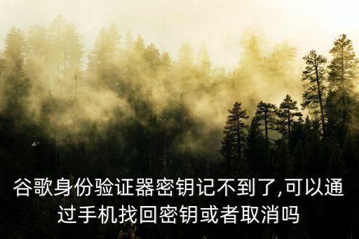 谷歌身份驗證器密鑰記不到了,可以通過手機找回密鑰或者取消嗎
