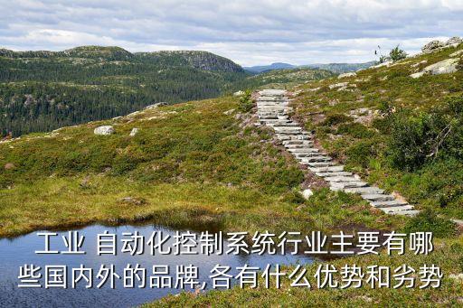 重慶進(jìn)口工業(yè)自動(dòng)化設(shè)備,重慶言行工業(yè)自動(dòng)化設(shè)備有限責(zé)任公司