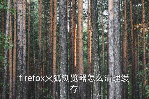 火狐清除數據庫,怎么清除火狐瀏覽器中的歷史記錄?