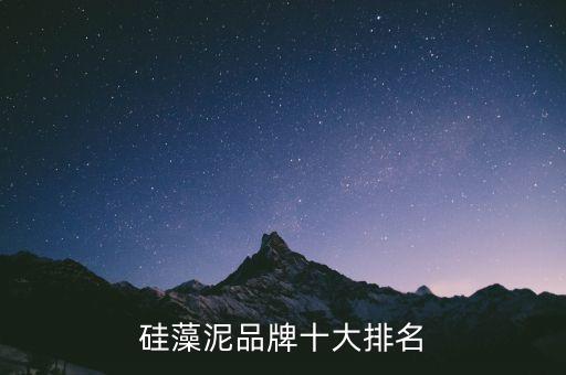 上海施邁德自動(dòng)化有限公司,上海硅片廠有哪些大企業(yè)?