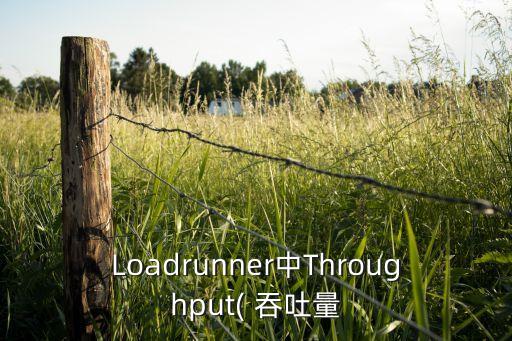 Loadrunner中Throughput( 吞吐量