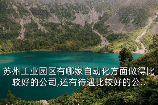 蘇州工業(yè)園區(qū)有哪家自動(dòng)化方面做得比較好的公司,還有待遇比較好的公...