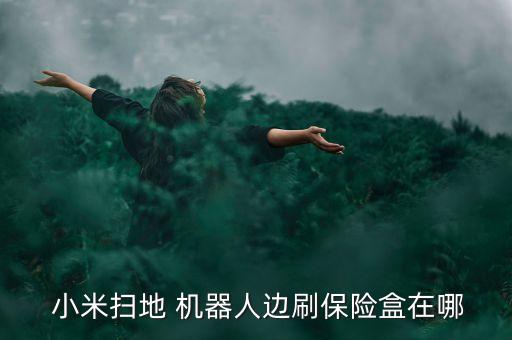  小米掃地 機(jī)器人邊刷保險(xiǎn)盒在哪