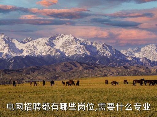 電網招聘都有哪些崗位,需要什么專業(yè)