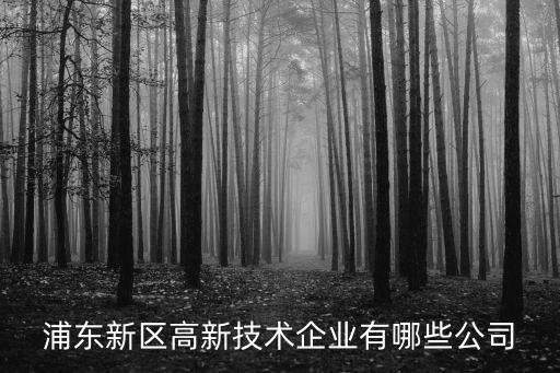 浦東新區(qū)高新技術(shù)企業(yè)有哪些公司