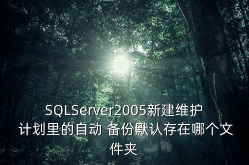SQLServer2005新建維護 計劃里的自動 備份默認存在哪個文件夾