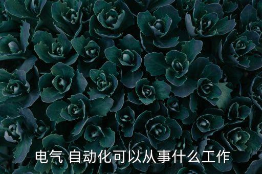  電氣 自動(dòng)化可以從事什么工作