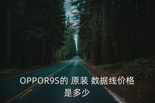oppr9s原裝數(shù)據(jù)線和r9