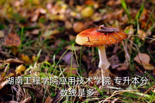 湖南工程學(xué)院應(yīng)用技術(shù)學(xué)院 專升本分?jǐn)?shù)線是多