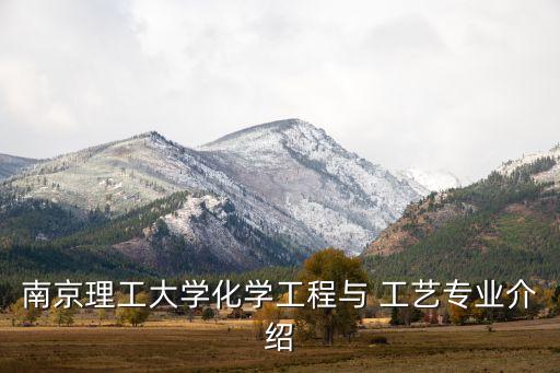 化工工藝cbs自動(dòng)化設(shè)備