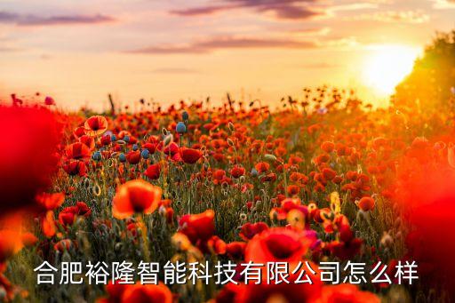 合肥裕隆智能科技有限公司怎么樣