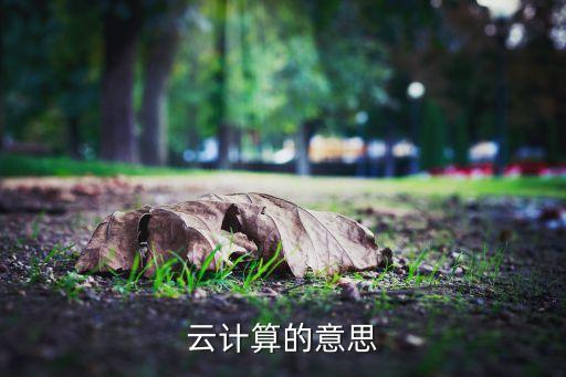 云計(jì)算的意思