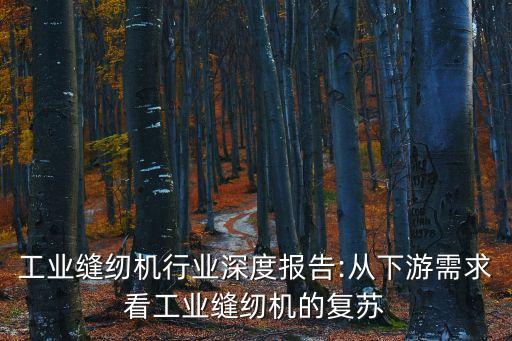工業(yè)縫紉機(jī)行業(yè)深度報(bào)告:從下游需求看工業(yè)縫紉機(jī)的復(fù)蘇