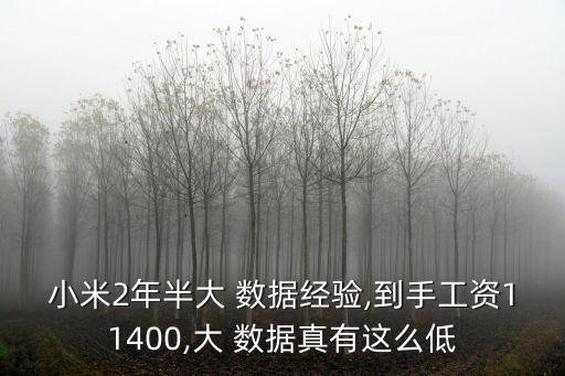 小米2年半大 數(shù)據(jù)經(jīng)驗(yàn),到手工資11400,大 數(shù)據(jù)真有這么低