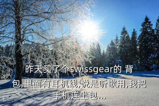 昨天買了個swissgear的 背包,里面有耳機線,說是聽歌用,我把手機連上包...