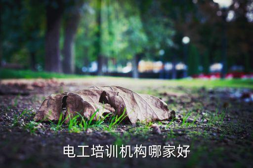 巴中電氣自動(dòng)化培訓(xùn),學(xué)電氣自動(dòng)化哪些培訓(xùn)機(jī)構(gòu)最專業(yè)?