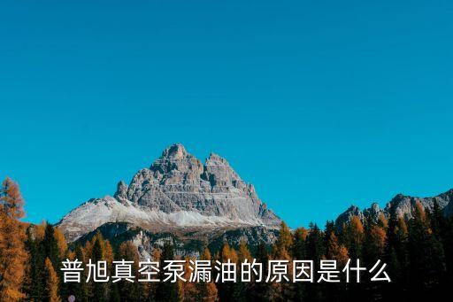 普旭真空泵漏油的原因是什么