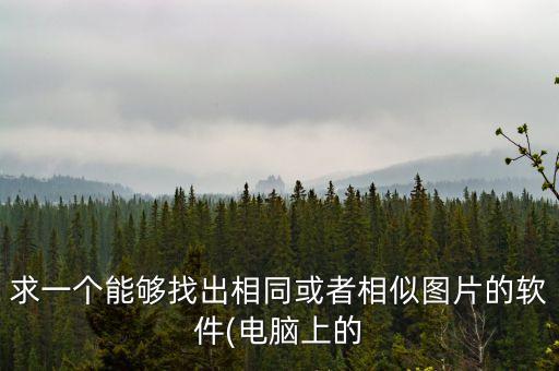 求一個(gè)能夠找出相同或者相似圖片的軟件(電腦上的