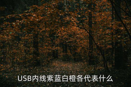 USB內(nèi)線紫藍白橙各代表什么