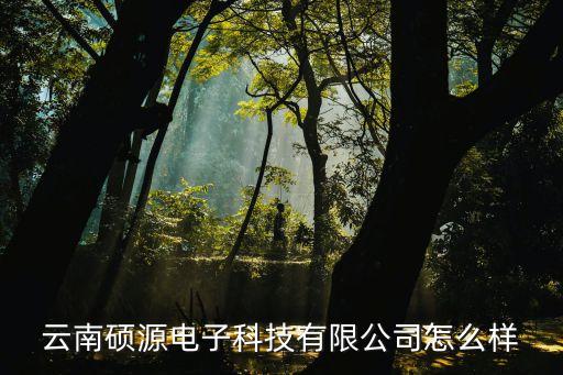 源碩自動化設(shè)備,電氣工程及其自動化專業(yè)碩士點(diǎn)有哪些?