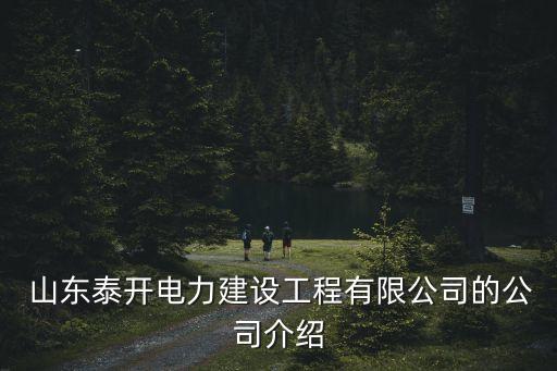  山東泰開電力建設(shè)工程有限公司的公司介紹