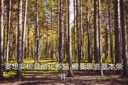 要想實現(xiàn)自動化養(yǎng)雞,需要哪些基本條件