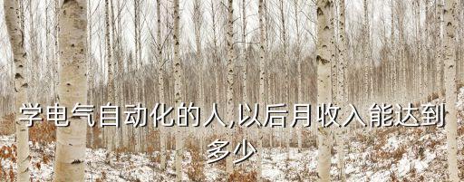 學(xué)電氣自動化的人,以后月收入能達(dá)到多少