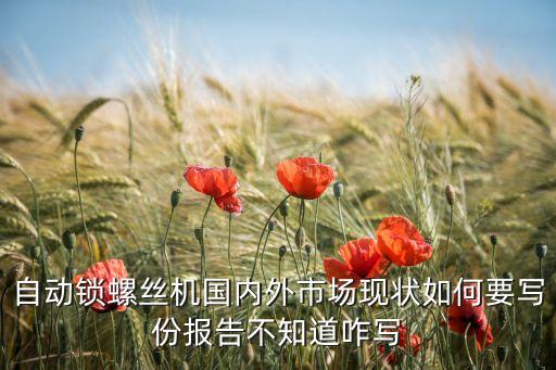 自動(dòng)鎖螺絲機(jī)國(guó)內(nèi)外市場(chǎng)現(xiàn)狀如何要寫份報(bào)告不知道咋寫