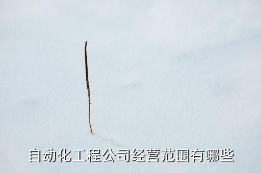 非標(biāo)自動化機(jī)械設(shè)備傳感器,非標(biāo)自動化設(shè)備有何區(qū)別?