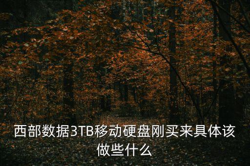 西部數(shù)據(jù)3TB移動硬盤剛買來具體該做些什么